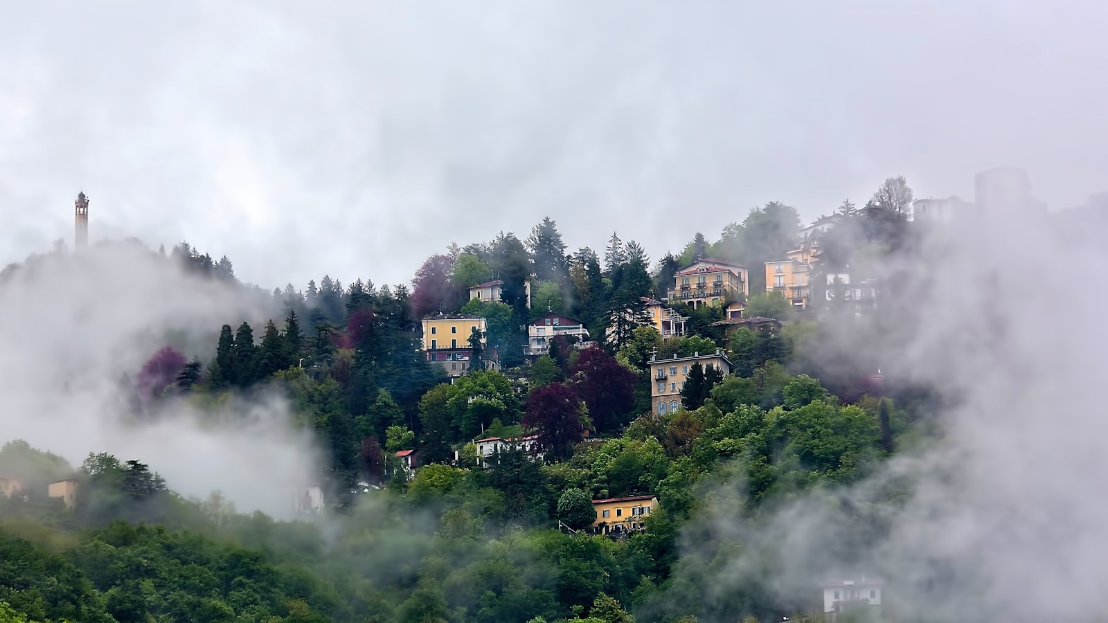 ¿Cómo obtener tu CUIT y CUIL de forma rápida y sencilla?